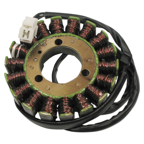 Ricks Motorsport Electric - Ricks Motorsport Electric Stator - 21-240