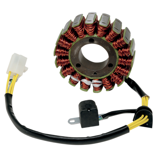 Ricks Motorsport Electric - Ricks Motorsport Electric Stator - 21-020