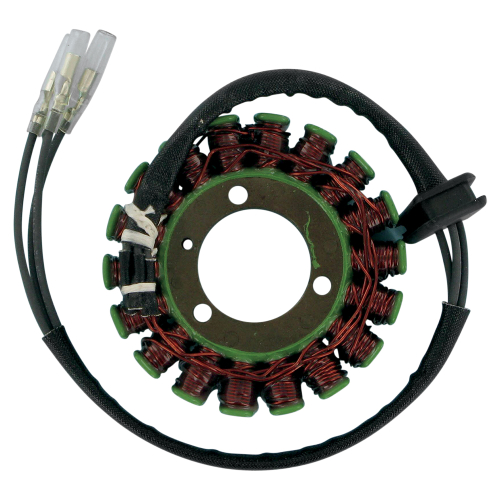 Ricks Motorsport Electric - Ricks Motorsport Electric Stator - 21-201