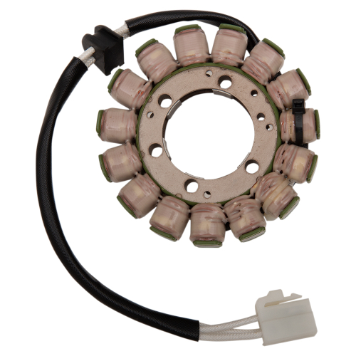 Ricks Motorsport Electric - Ricks Motorsport Electric Stator - 21-338