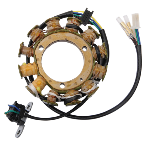 Ricks Motorsport Electric - Ricks Motorsport Electric Stator - 21-646H