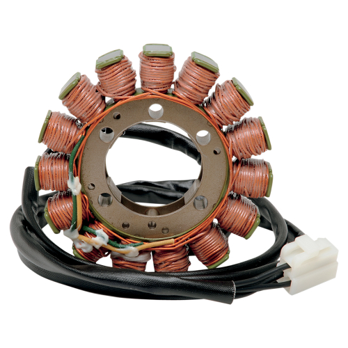 Ricks Motorsport Electric - Ricks Motorsport Electric Stator - 21-017