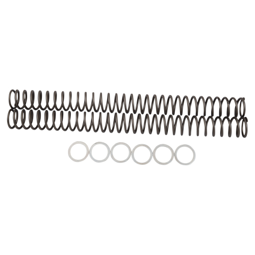 Race Tech - Race Tech Fork Springs - .42 kg/mm - FRSP 414642