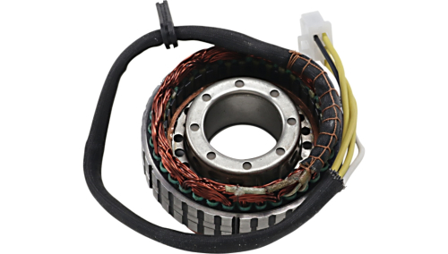 Ricks Motorsport Electric - Ricks Motorsport Electric Stator - 21-157
