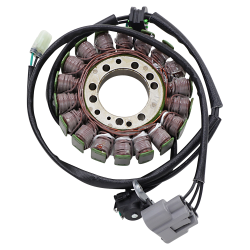 Ricks Motorsport Electric - Ricks Motorsport Electric Stator - 21-036