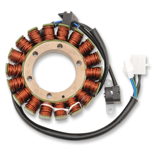 Ricks Motorsport Electric - Ricks Motorsport Electric Stator - 21-062