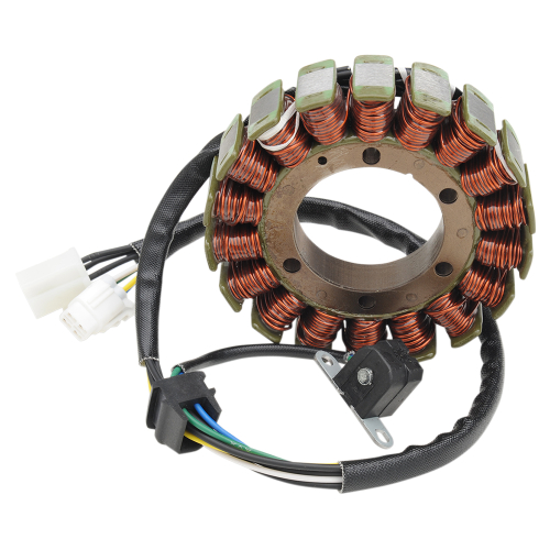 Ricks Motorsport Electric - Ricks Motorsport Electric Stator - 21-057