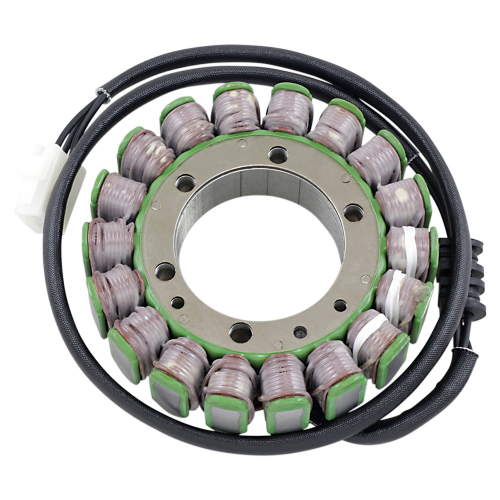 Ricks Motorsport Electric - Ricks Motorsport Electric Stator - 21-140