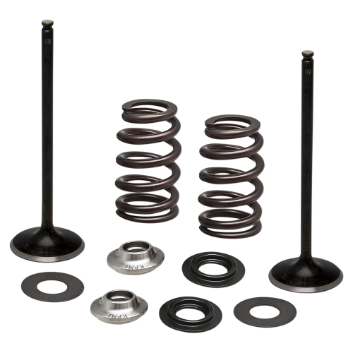 Kibblewhite Precision - Kibblewhite Precision Intake Only Stainless Conversion Valve/Spring Kit - 96-96540