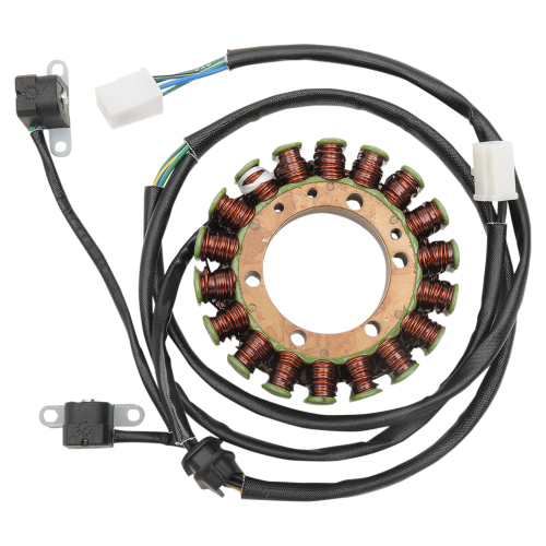 Ricks Motorsport Electric - Ricks Motorsport Electric Stator - 21-337