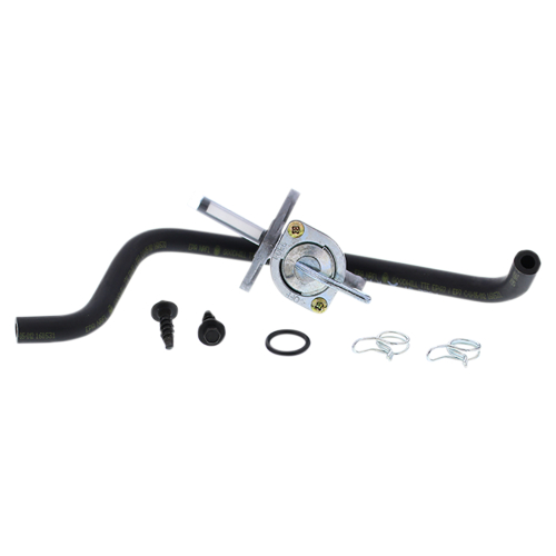 Fuel Star - Fuel Star Fuel Valve Kit - FS101-0168