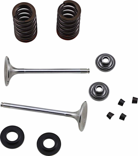 Xceldyne - Xceldyne X2 Exhaust Valve Kit - X2VEK13001