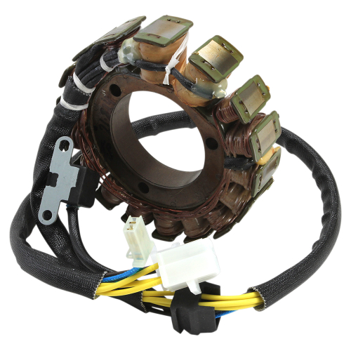 Ricks Motorsport Electric - Ricks Motorsport Electric Stator - 21-824