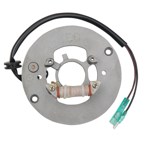 Ricks Motorsport Electric - Ricks Motorsport Electric Stator - 21-906