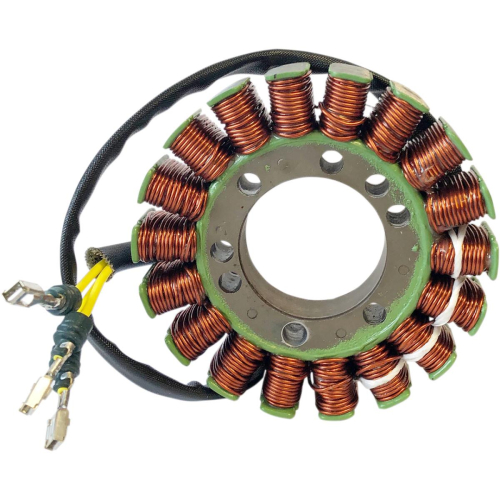 Ricks Motorsport Electric - Ricks Motorsport Electric Stator - 24-107