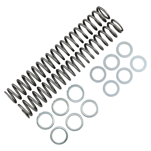 Race Tech - Race Tech Fork Springs - .85 kg/mm - FRSP S3827085