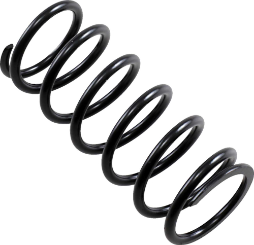 EPI - EPI Primary Drive Clutch Spring - Black - SDPS-5