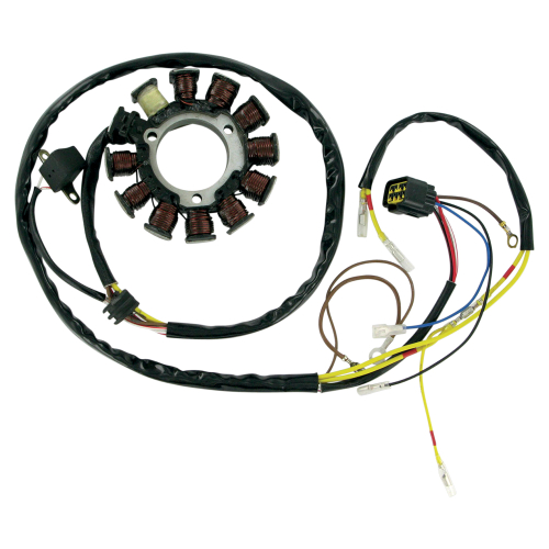 Ricks Motorsport Electric - Ricks Motorsport Electric Stator - 21-556