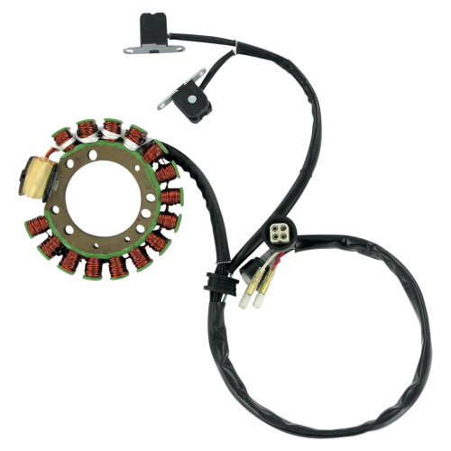 Ricks Motorsport Electric - Ricks Motorsport Electric Stator - 21-900