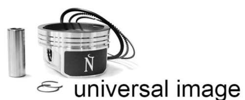Namura Technologies - Namura Technologies Piston Kit - Standard Bore 76.95mm - FX-40050