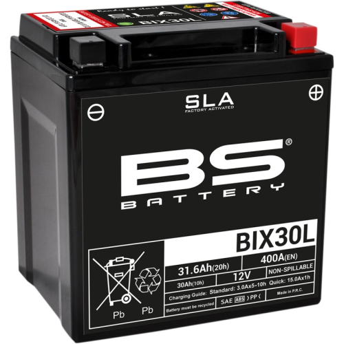 BS Battery - BS Battery SLA Factory-Activated AGM Maintenance-Free Battery - 300631