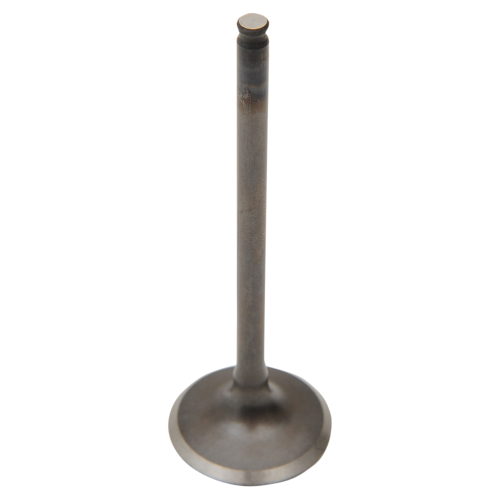 Pro-X - Pro-X Exhaust Valve - Steel - 28.1040-1