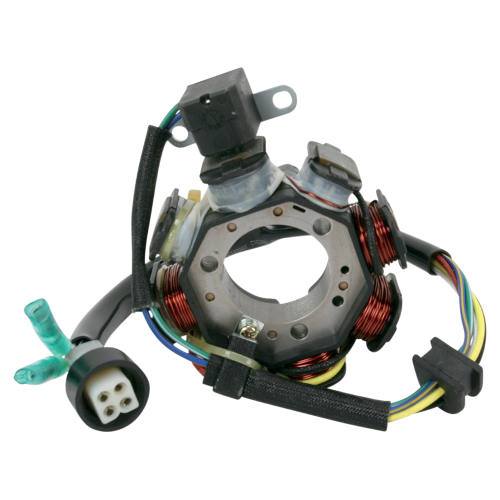 Ricks Motorsport Electric - Ricks Motorsport Electric Stator - 21-920