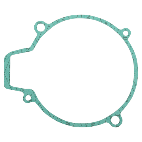 Ricks Motorsport Electric - Ricks Motorsport Electric Stator Gasket - 25-001