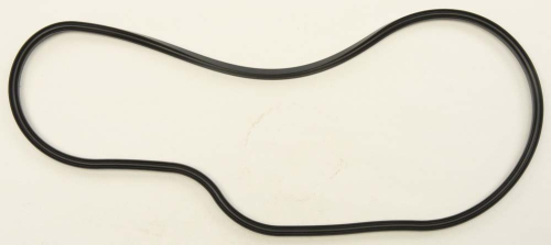 SP1 - SP1 Chaincase Cover Seal - SM-03348