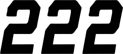 DCOR - DCOR Race Series Individual Numbers 6in. - No.2 - Black - 45-35-2