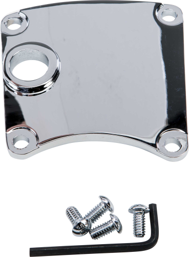 HardDrive - HardDrive Inspection Cover - Chrome - 210245