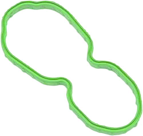 HardDrive - HardDrive Fuel Pump Door Gasket - 022254