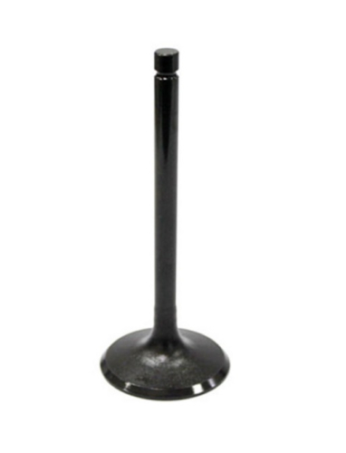Bronco - Bronco Intake Valve - AU-09009I