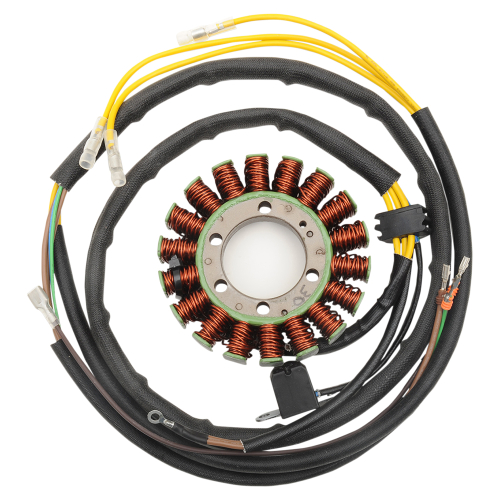 Ricks Motorsport Electric - Ricks Motorsport Electric Stator - 21-567