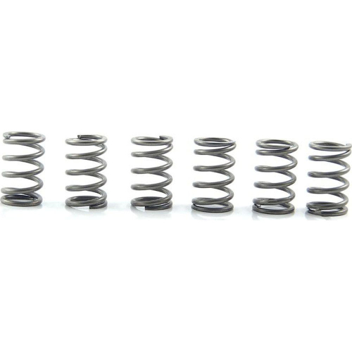 EBC - EBC CSK Clutch Spring Kit - CSK171
