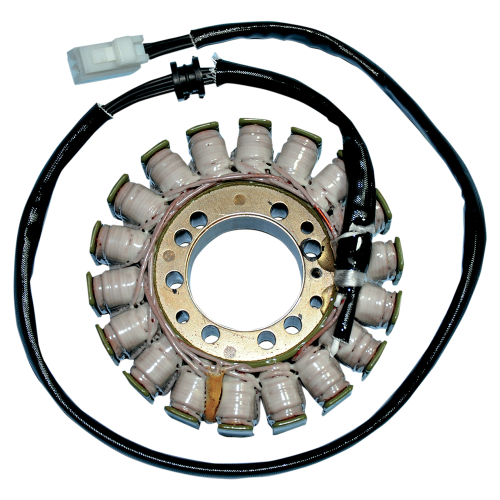 Ricks Motorsport Electric - Ricks Motorsport Electric Stator - 21-014