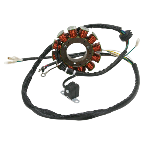 Ricks Motorsport Electric - Ricks Motorsport Electric Stator - 21-562