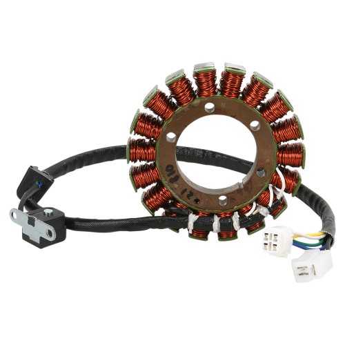 Ricks Motorsport Electric - Ricks Motorsport Electric Stator - 21-810