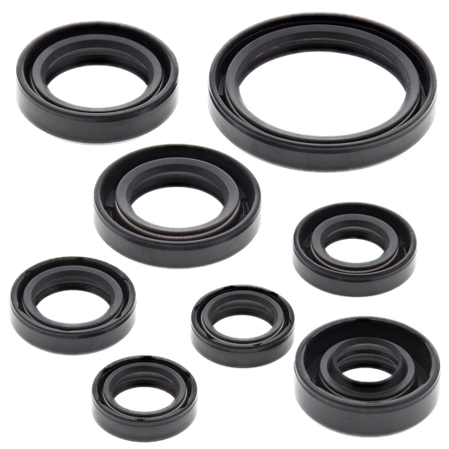 Vertex - Vertex Oil Seal Kit - 822228
