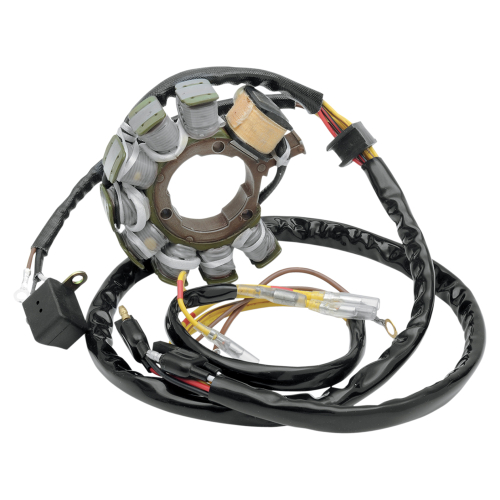 Ricks Motorsport Electric - Ricks Motorsport Electric Stator - 21-554