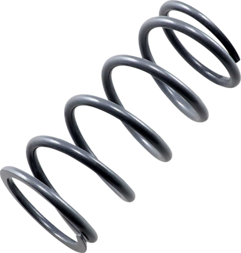 EPI - EPI Primary Drive Clutch Spring - Silver - PS-6