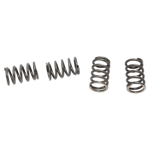 BBR Motorsports - BBR Motorsports Heavy-Duty Clutch Springs - 410-HXR-1005