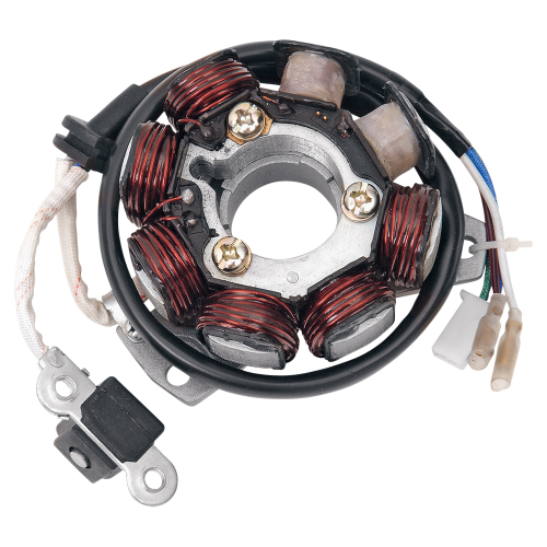 Ricks Motorsport Electric - Ricks Motorsport Electric Stator - 21-602H