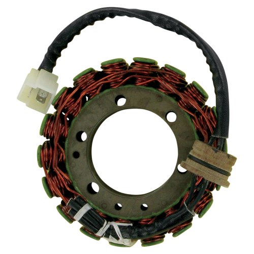 Ricks Motorsport Electric - Ricks Motorsport Electric Stator - 21-102