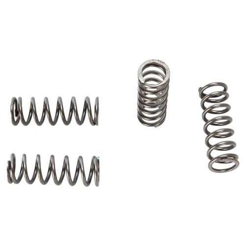 BBR Motorsports - BBR Motorsports Heavy-Duty Clutch Springs - 410-YTR-1205