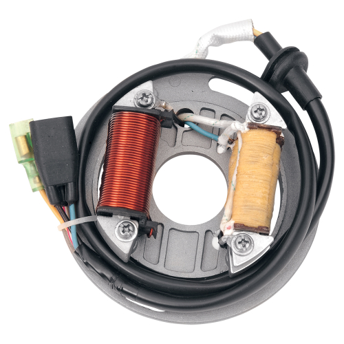 Ricks Motorsport Electric - Ricks Motorsport Electric Stator - 21-705H