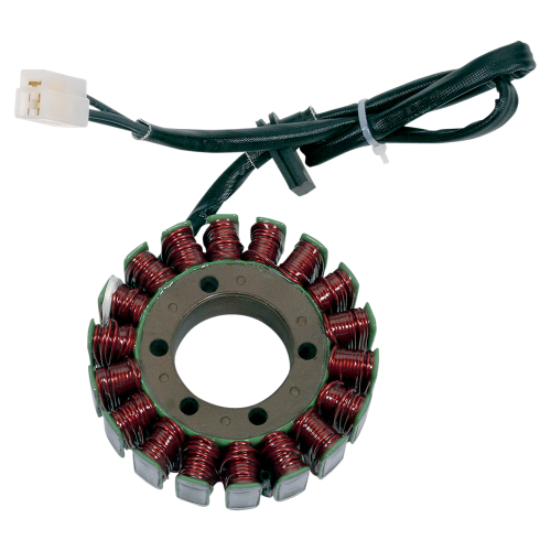 Ricks Motorsport Electric - Ricks Motorsport Electric Stator - 21-406