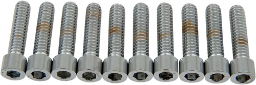 Drag Specialties - Drag Specialties Coarse-Thread Socket-Head Bolts - 1/4in.-20 x 1in. - MPB181S