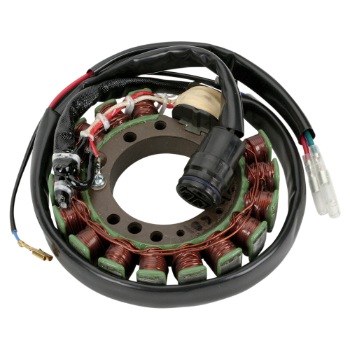 Ricks Motorsport Electric - Ricks Motorsport Electric Stator - 21-601