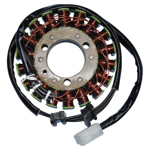 Ricks Motorsport Electric - Ricks Motorsport Electric Stator - 21-210